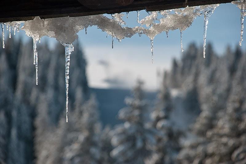 Apartment Suncani Vrhovi Kopaonik Exterior foto